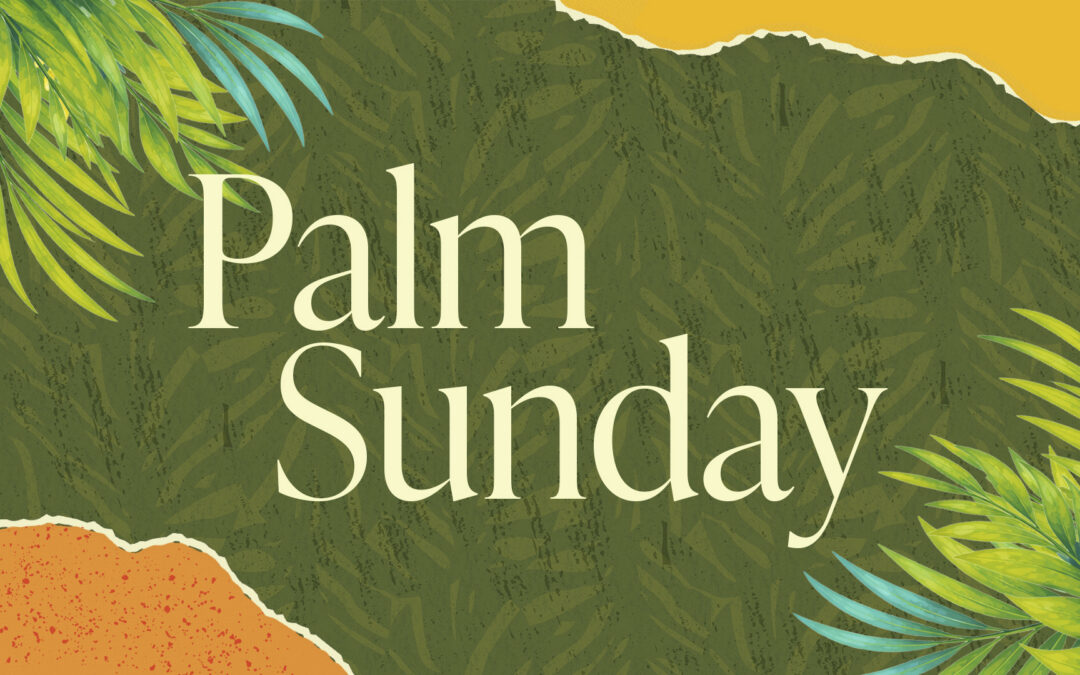 Palm Sunday Bible Study in Matthew 21
